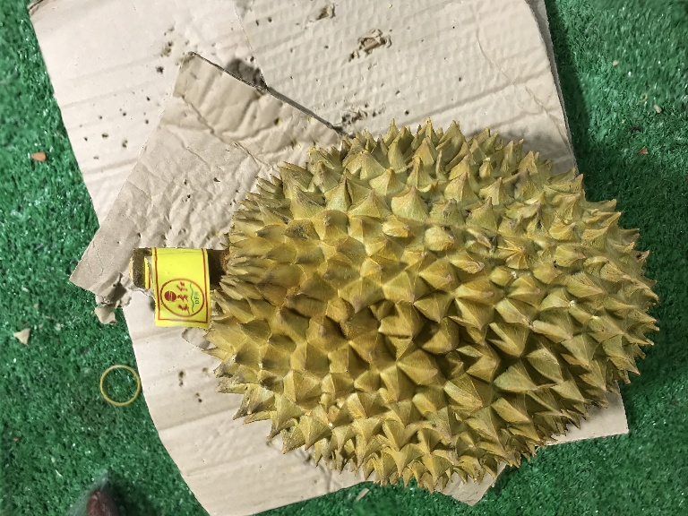 BMVS durian