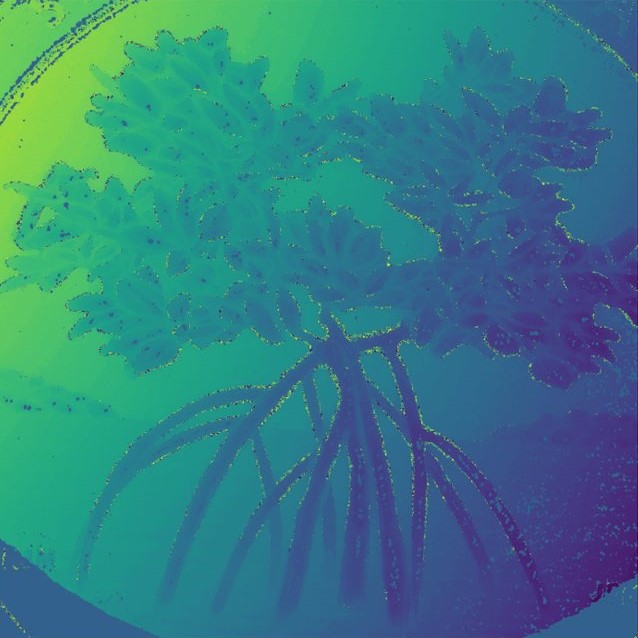 Interferometric imaging