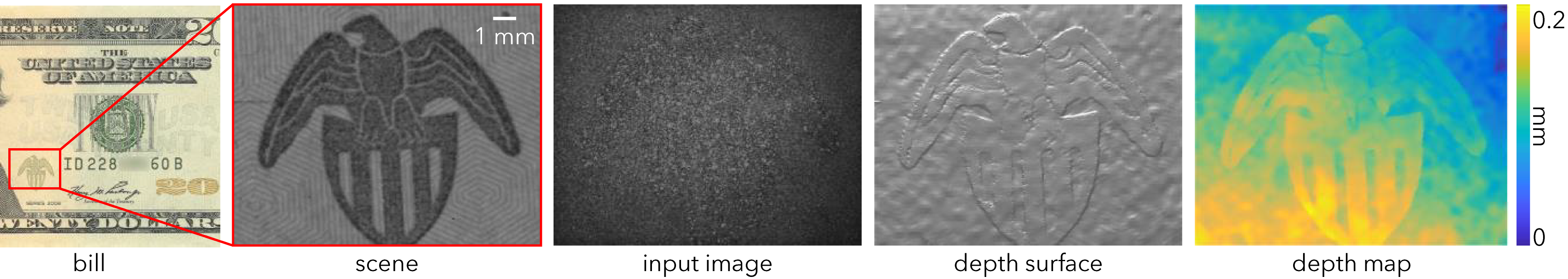 A $20 bill with a red inset onto the embossed eagle, followed by four panels: a close-up photograph of the eagle, the raw input image, the recovered depth surface, and the depth map with a colour bar from 0 to 0.2 mm