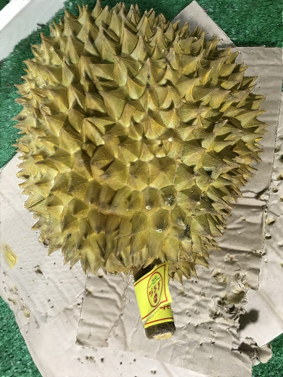 BMVS durian